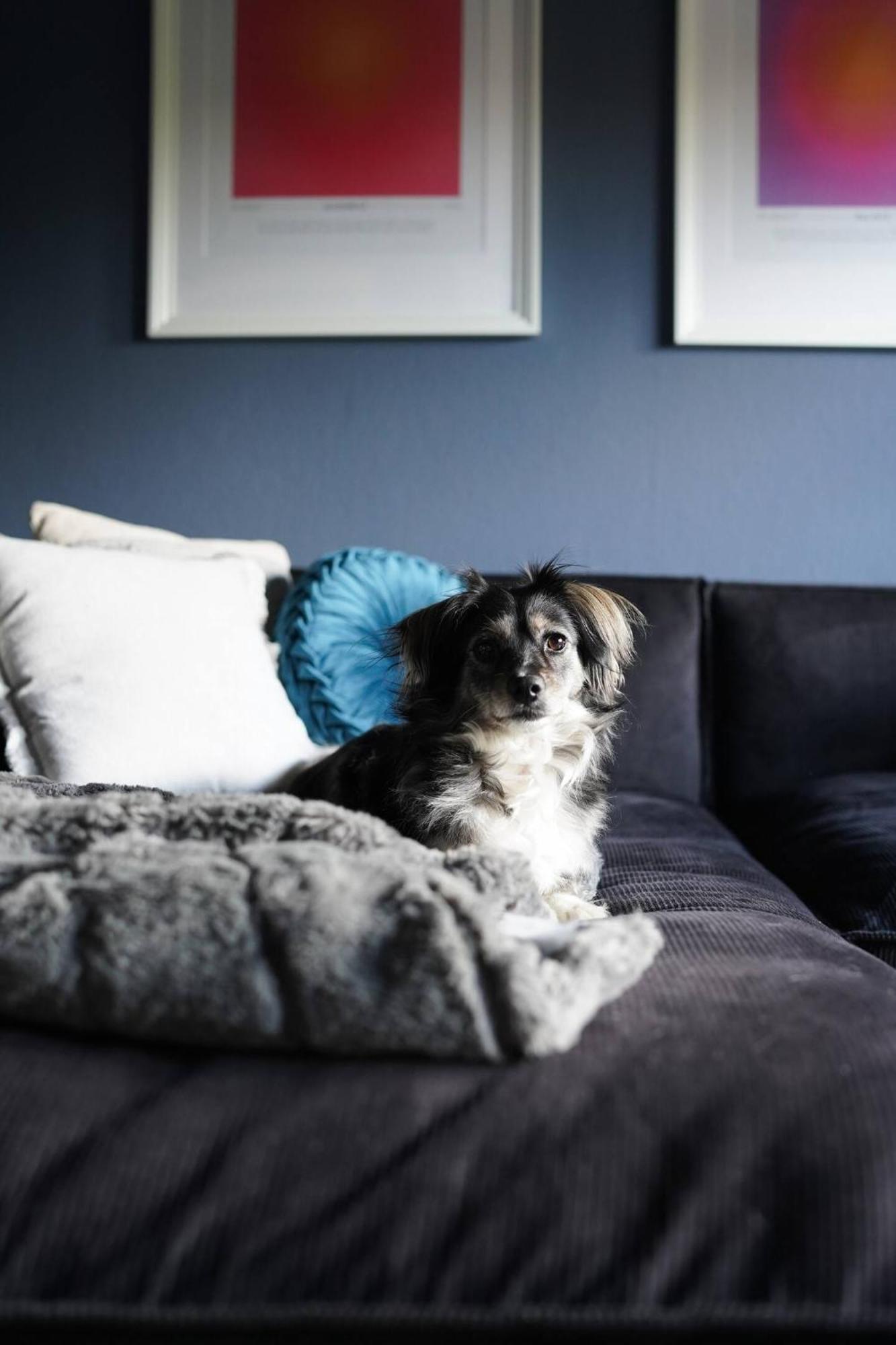 Stylische Wohnung In Meeresnaehe Wilhelmshaven Ngoại thất bức ảnh